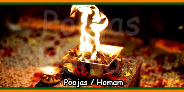 Pujas and homam Pujas and homam